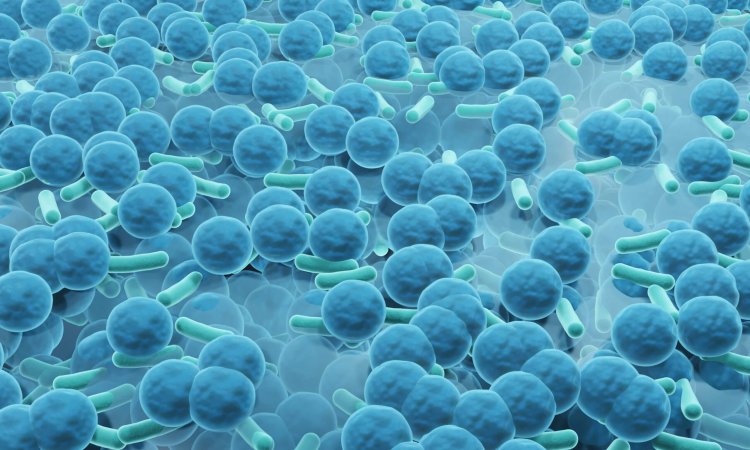 Efficacy of biocides against biofilms