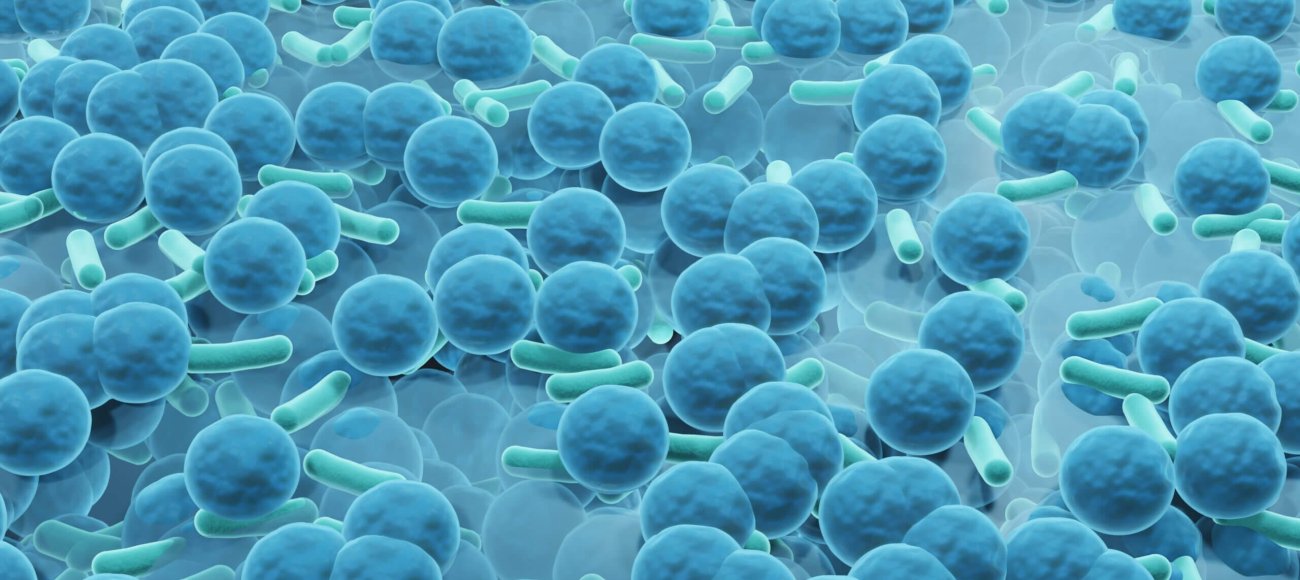 Efficacy of biocides against biofilms