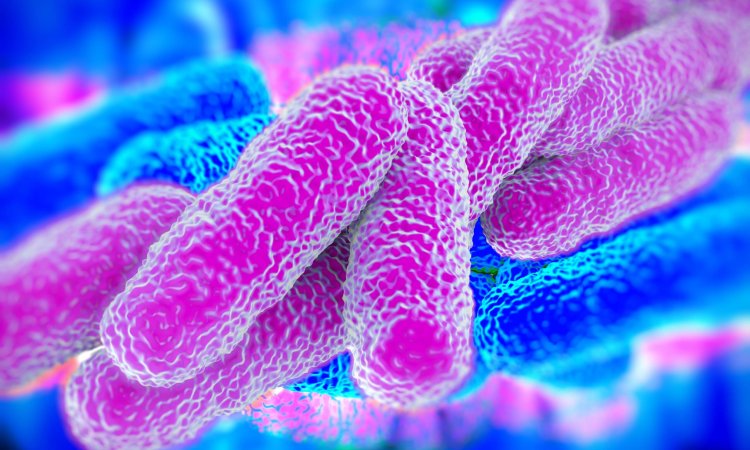 Biocides and Public Health: Reducing Legionella Risks in Water Systems