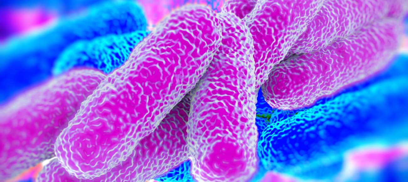 Biocides and Public Health: Reducing Legionella Risks in Water Systems