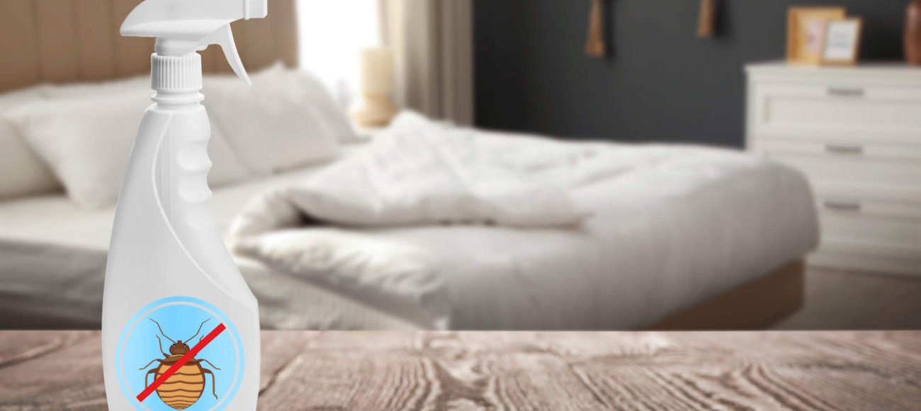 The Role of Lab Testing in Developing Non-Toxic Bed Bug Treatments