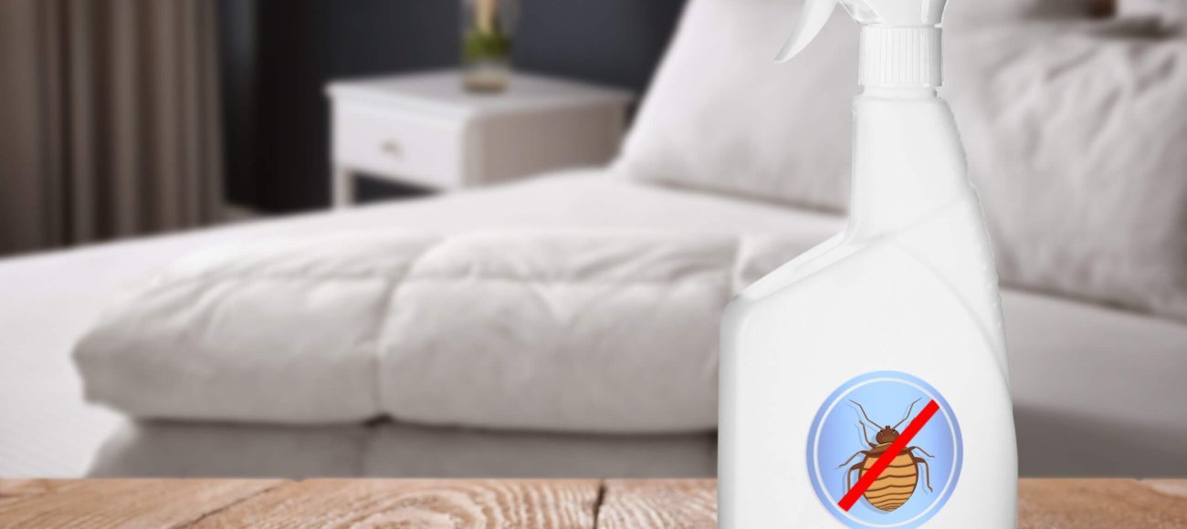 Regulatory Requirements in Bed Bug Biocide Development and How Testing Helps