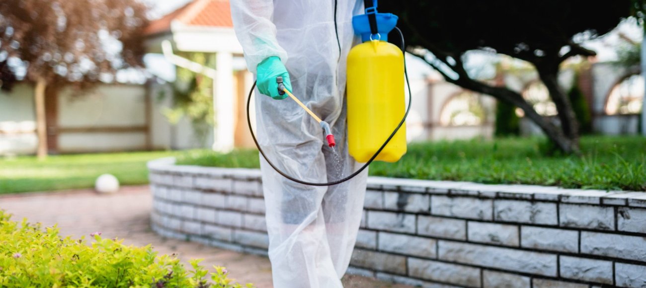 Why is Efficacy Testing for Insecticides Crucial to Ensuring Effective Aedes Mosquito Control?