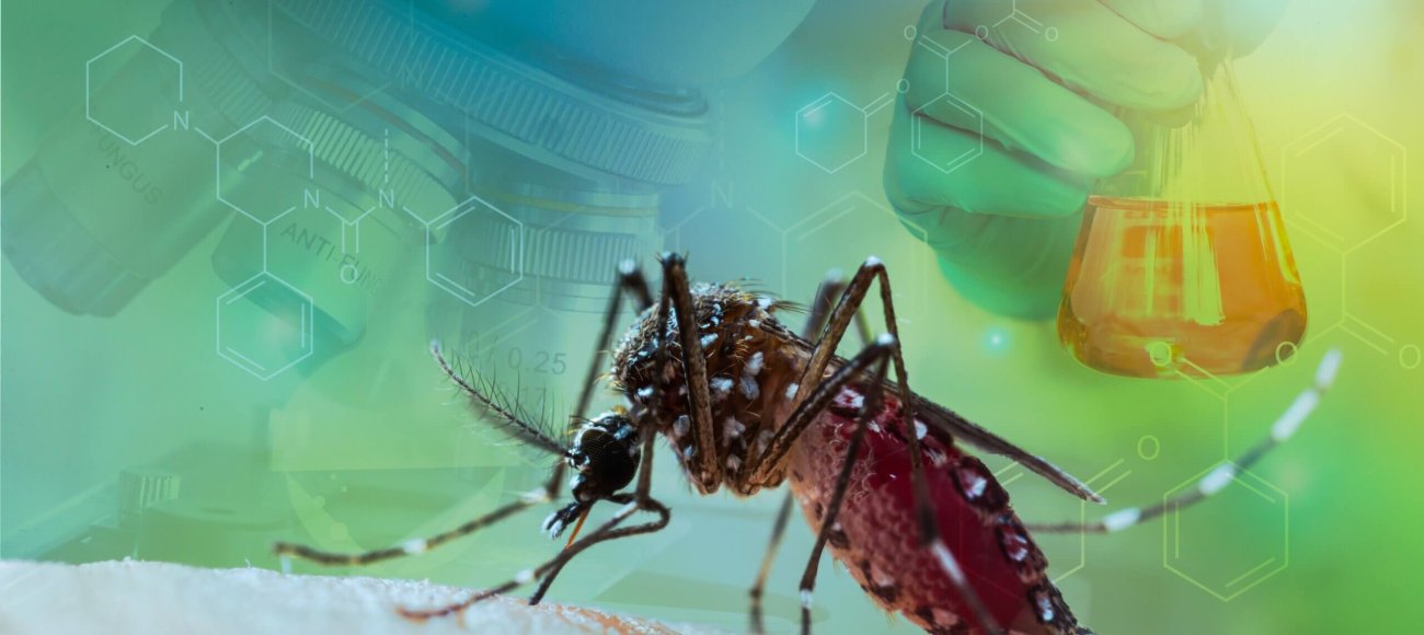 WHO guidelines for entomology testing services