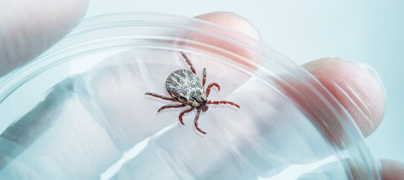 tick repellent testing
