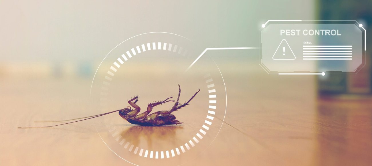 Sustainable Pest Control: Eco-Friendly Options for Cockroach Management