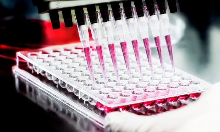 96,Well,Plate,For,Pcr,Processing,,Microbiological,Laboratory.,Researcher,Pipetting