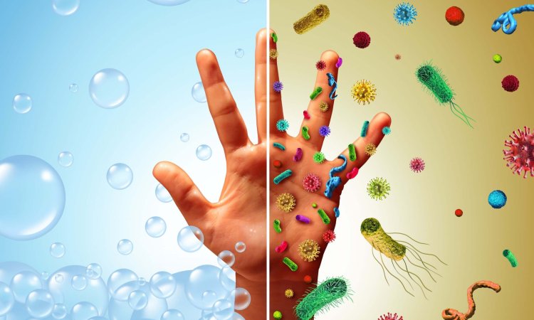 Image depicts one side of the hand that is sanitized using EN 14347 disinfectant and the other side that is not sanitized and contains germs