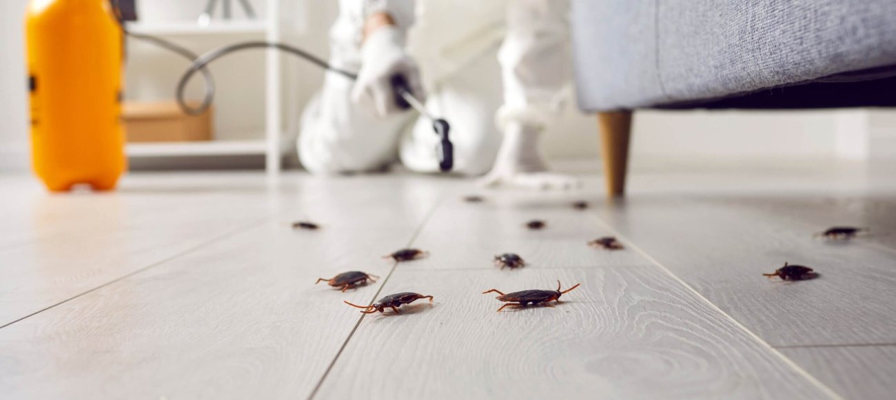 P18 and P19 for Biocide testing against Insects