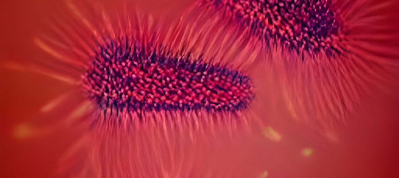 Biocide Testing Protocols for Legionella: Ensuring Safety and Efficacy