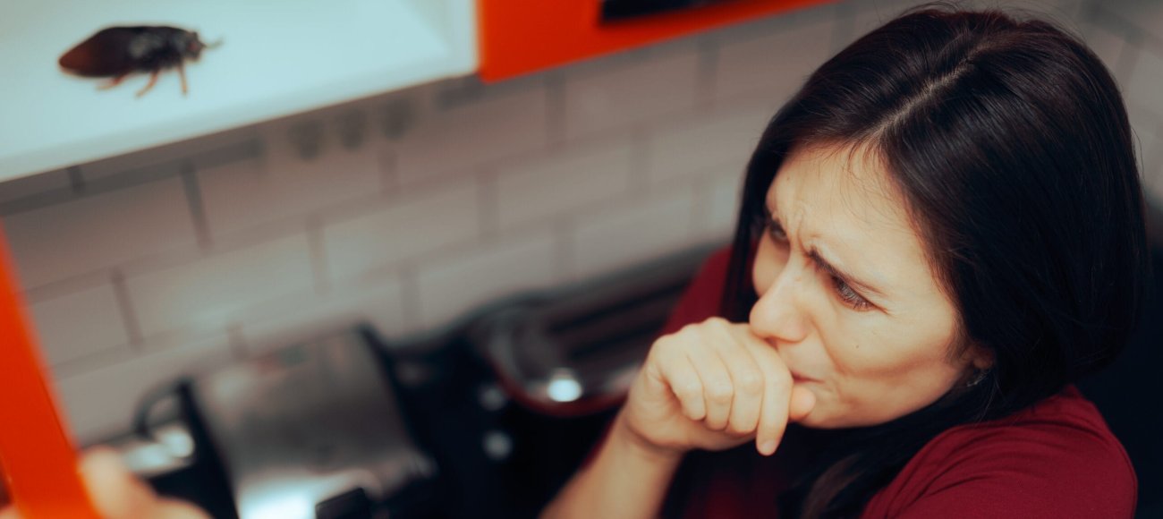 Cockroach Allergies: What You Need to Know