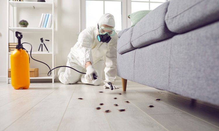 Innovations in Cockroach Control: What’s New in the Market?