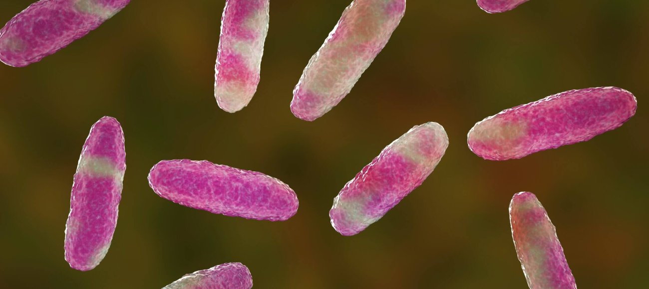 Epidemiology of Hypervirulent Klebsiella pneumoniae