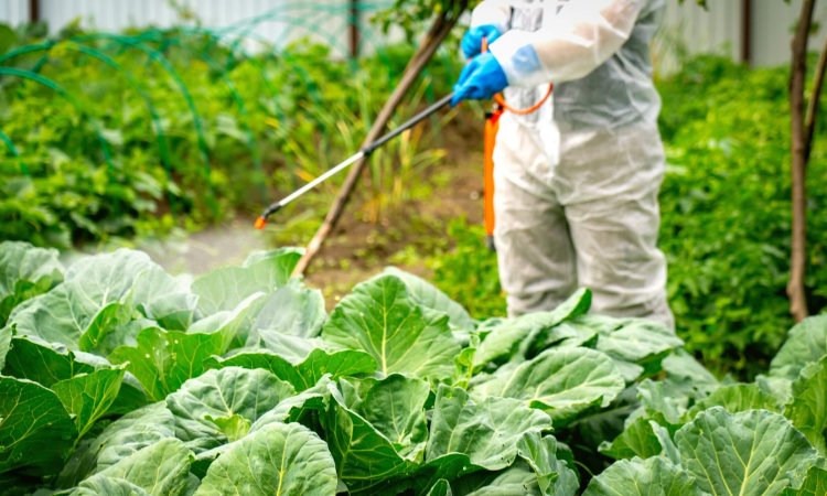 Residual Efficacy Testing for Pest Control Products