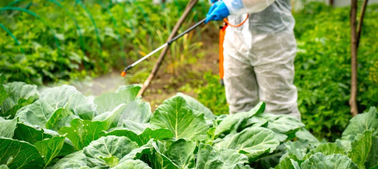 Residual Efficacy Testing for Pest Control Products