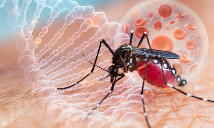 Aedes,Aegypti,Mosquito,With,Vial,Dhf,Vaccine,Concept,For,Vaccine