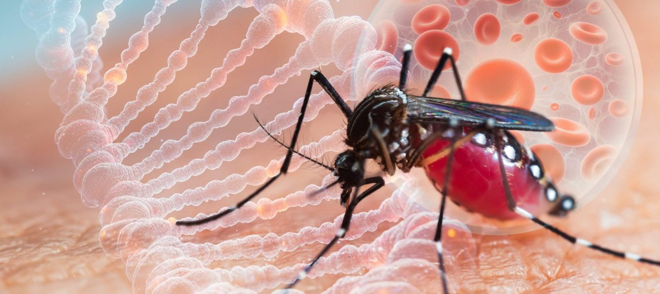 Aedes,Aegypti,Mosquito,With,Vial,Dhf,Vaccine,Concept,For,Vaccine