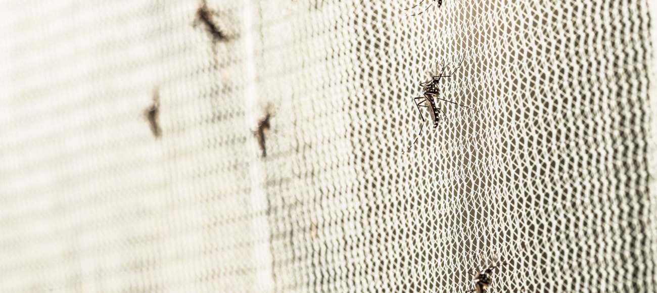 Overcoming Mosquito Biocide Resistance: The Role of Efficacy Testing