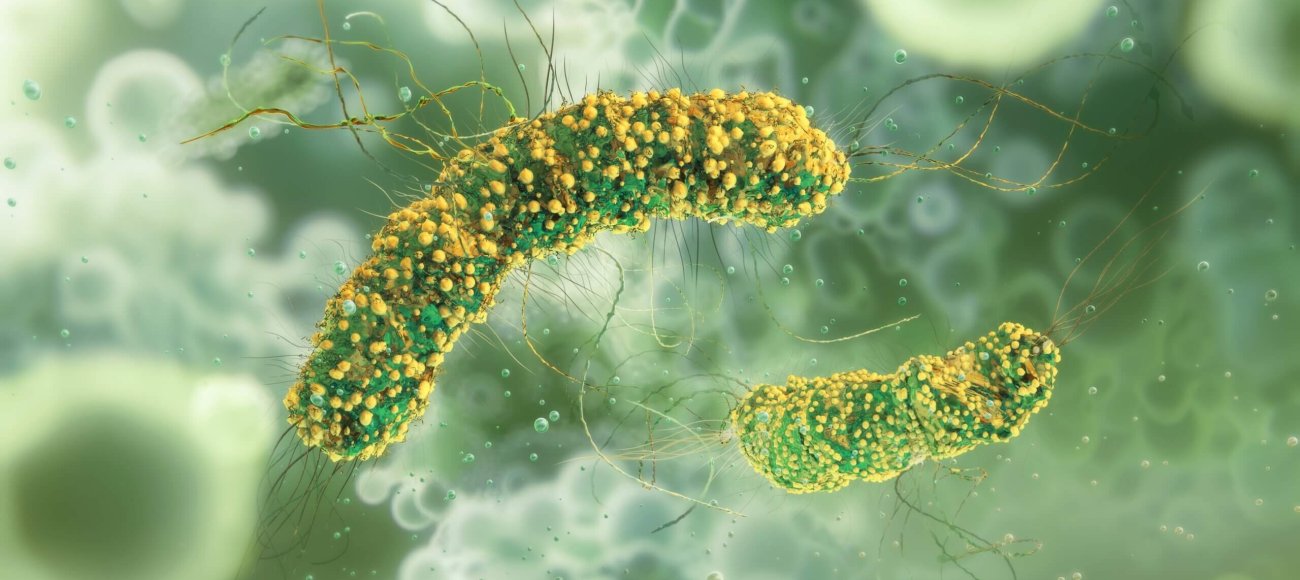 How to Control Listeria in Food Manufacturing Units?
