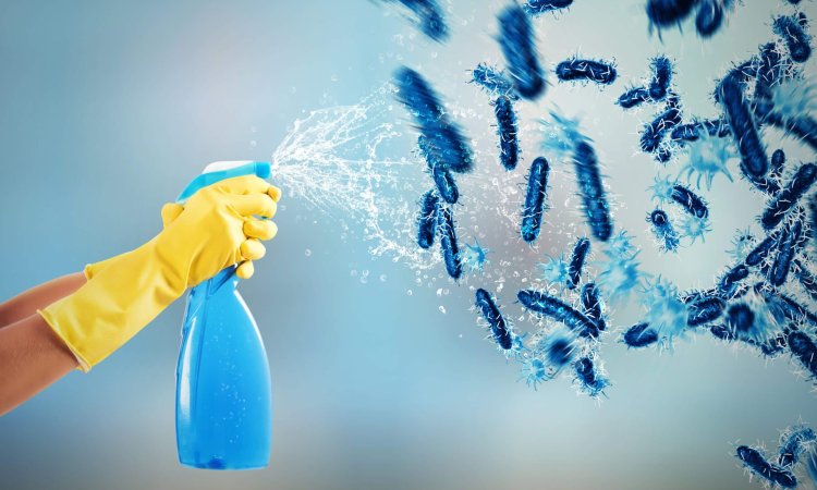 disinfectant testing for bacteria