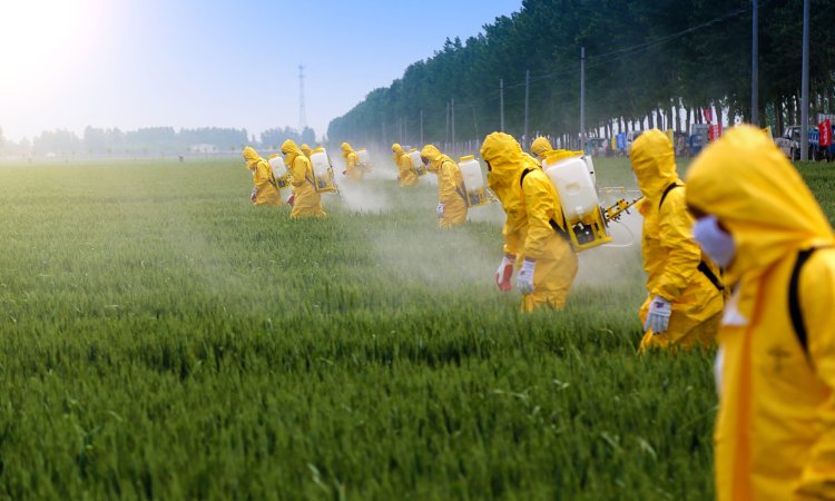 Economic Impact of Biocide Regulations on Product Development