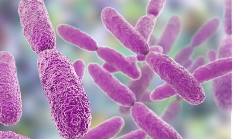 Antibiotic Resistance in Hypervirulent Klebsiella pneumoniae