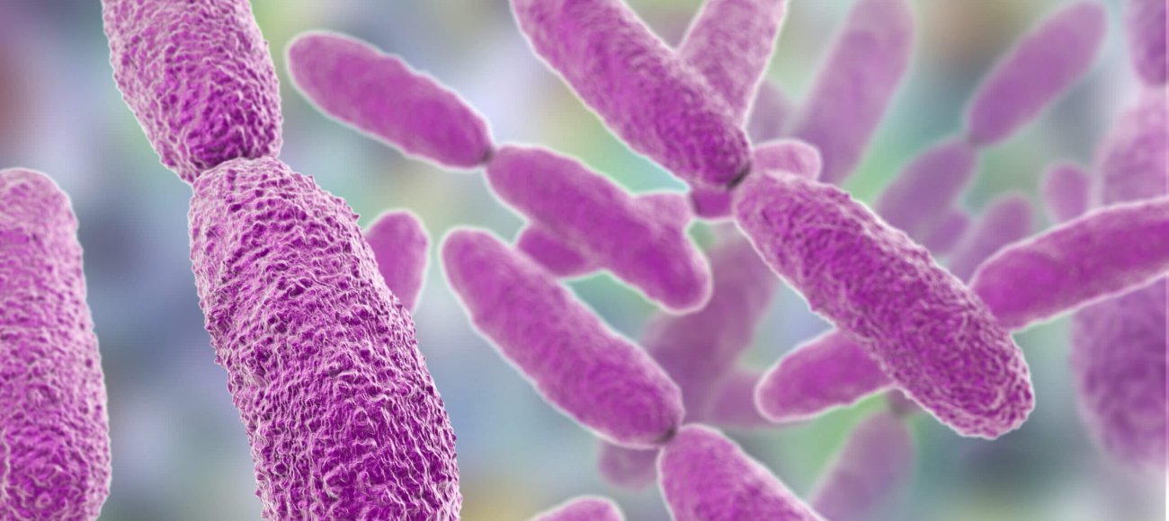 Antibiotic Resistance in Hypervirulent Klebsiella pneumoniae