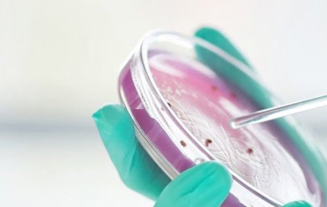 Antimicrobial vs Antibacterial