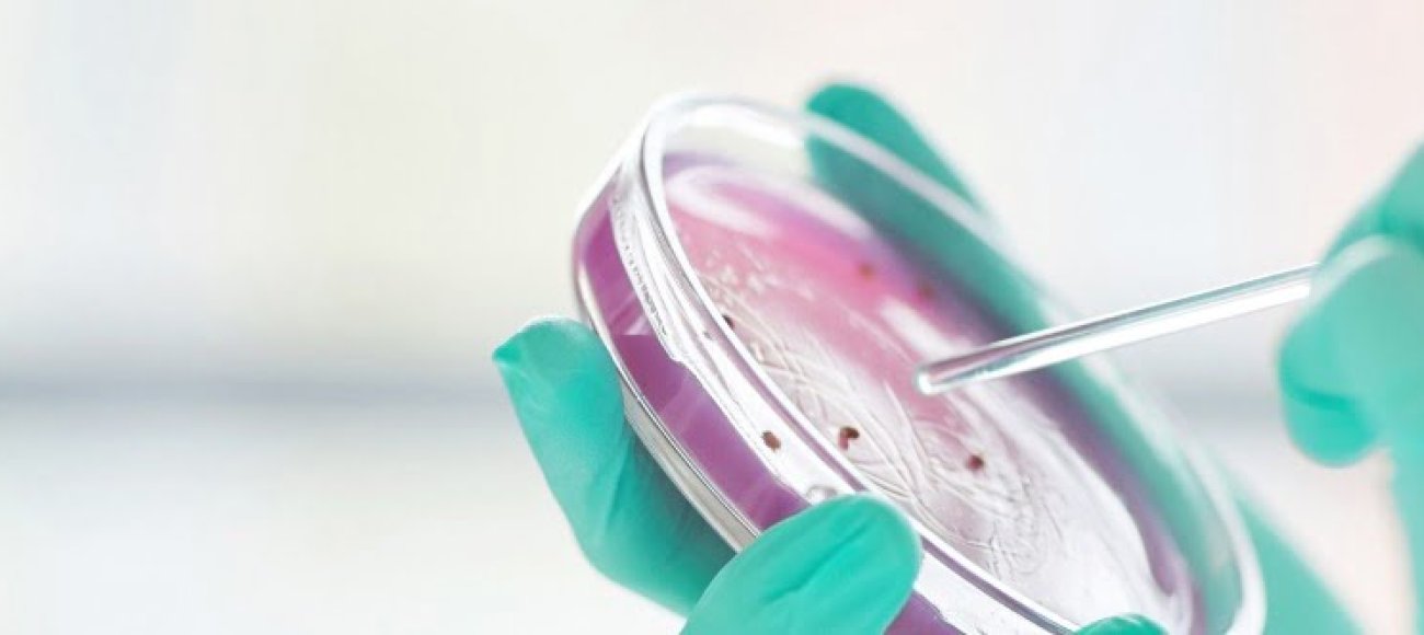 Antimicrobial vs Antibacterial